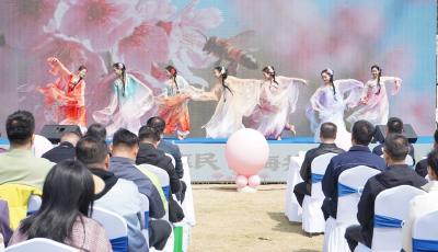 2026青島“城市公園+”暨中山公園櫻花會啟幕