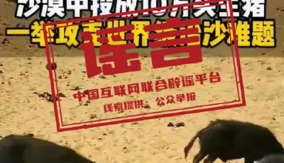 網(wǎng)傳庫布其沙漠“10萬頭黑豬讓沙漠變綠洲”不實(shí)