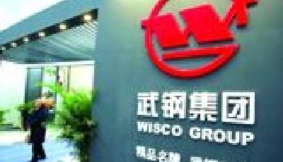 武鋼數百億元關聯交易遭否 中小股東另類敦促注資